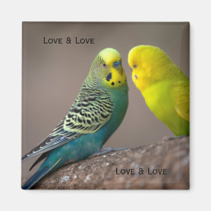 Aimant Image personnalisée de deux perroquets avec texte