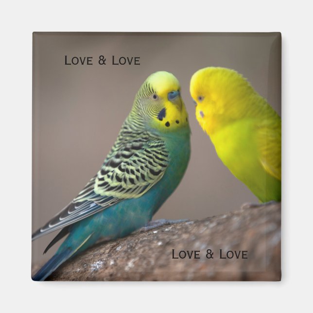 Aimant Image personnalisée de deux perroquets avec texte  (Devant)