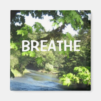 Aimant Image Relaxation