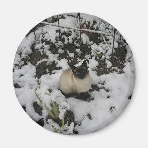 Aimant Images de neige, chat de neige