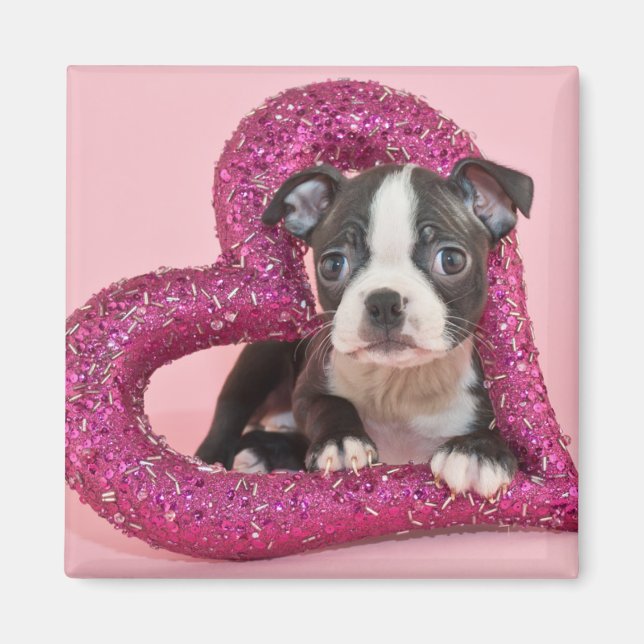 Aimant Images Getty | Puppy Love (Devant)