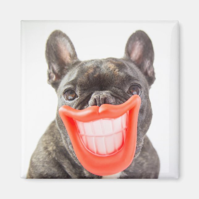 Aimant Images Getty | Un chien souriant (Devant)