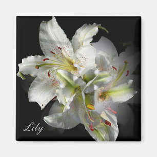 Aimant Imaginaire blanc Lilies