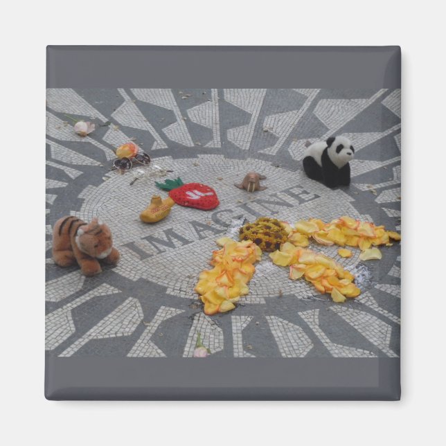 Aimant Imaginez les champs de fraises Central Park photo  (Devant)