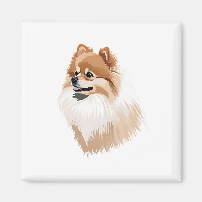 Aimant Imán ilustración perro pomerania (Devant)