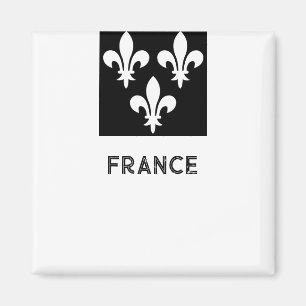 Aimant Impression héraldique médiévale de France Art mono