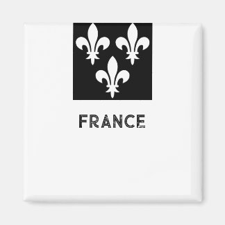 Aimant Impression héraldique médiévale de France Art mono