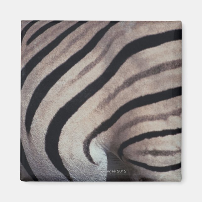 Aimant Impression Zebra (Devant)