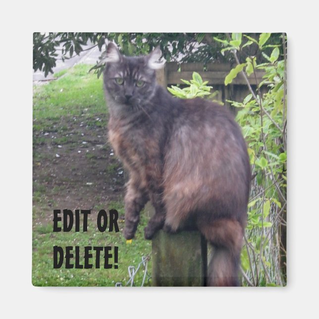 Aimant Imprimer l'aimant de chat (Devant)