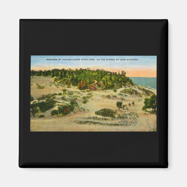 Aimant Indiana Dunes State Park Lake Michigan, Indiana (Devant)