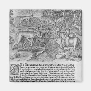 Aimant Indiens de Floride qui chassent des cerfs