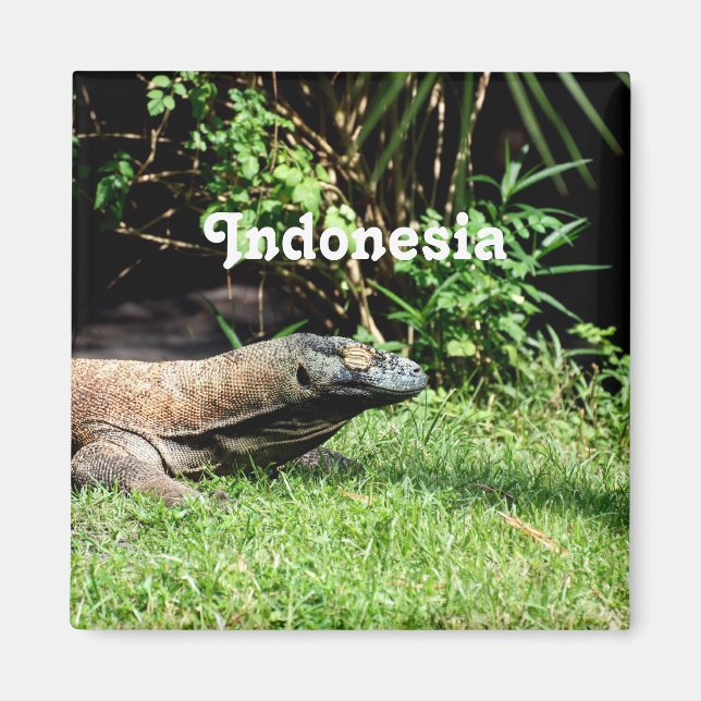 Aimant Indonésie Komodo Dragon (Devant)