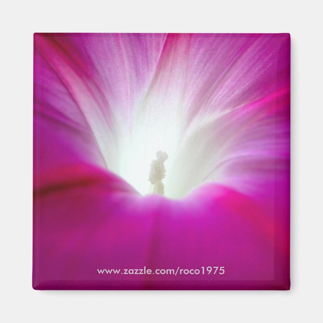 Aimant Infini (brillant) (Devant)