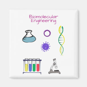 Aimant Ingénieur biomoléculaire Ingénieur chimique