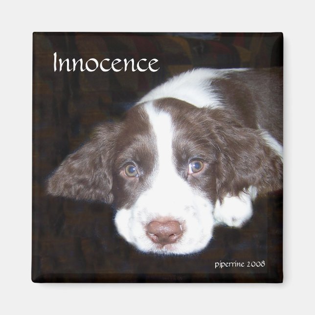 Aimant Innocence - L'amour chiot (Devant)