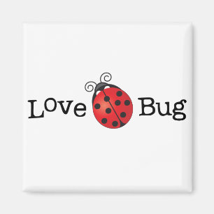 Aimant Insecte d'amour - coccinelle