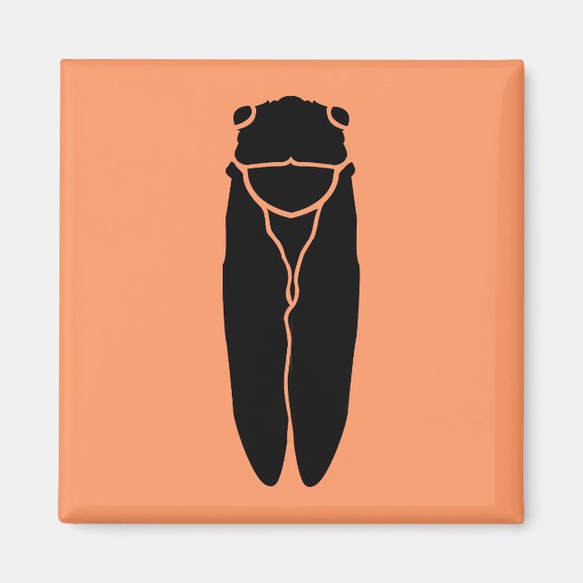 Aimant Insecte de Cicada noir (Devant)