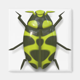 Aimant insecte insecte insecte insecte cocu