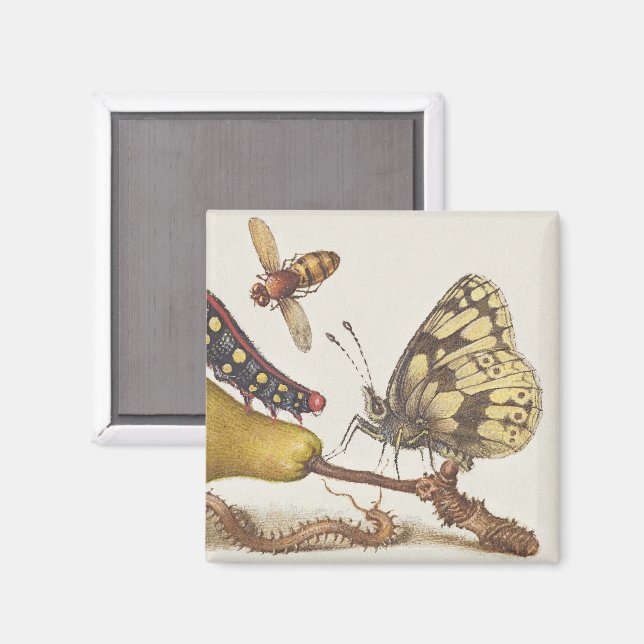 Aimant Insectes de jardin, mouche, chenille, poire, mille (Recto/Verso)