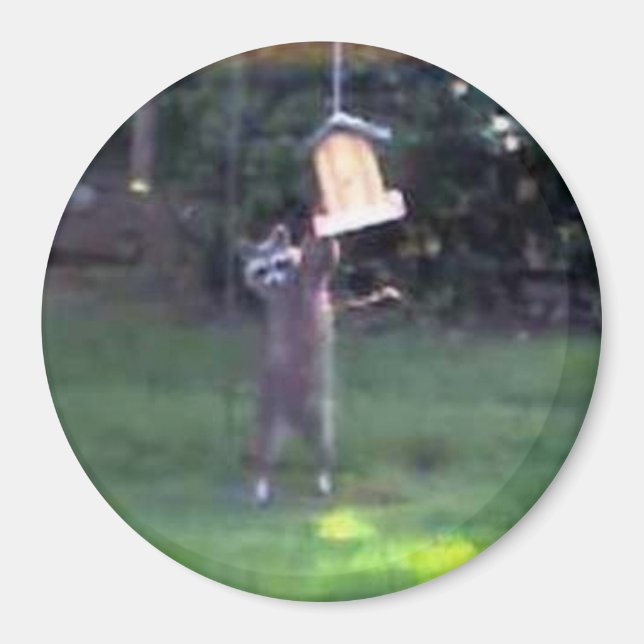 Aimant Inspecteur Raccoon (Devant)