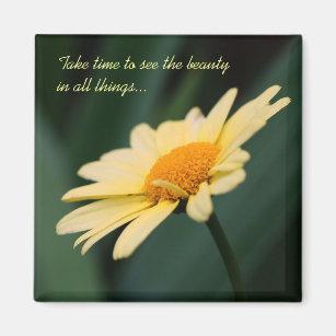 Citation Gratitude Accessoires Et Articles De Decoration D Interieur Zazzle Citation Gratitude Accessoires Et Articles De Decoration D Interieur Zazzle