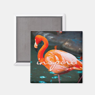 Aimant Inspirer Script Flamant rose rose Photo Moderne De