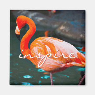 Aimant Inspirer Script Flamant rose rose Photo Moderne De