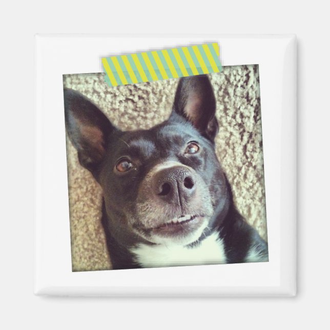 Aimant Instagram Aqua et Yellow Washi (Devant)