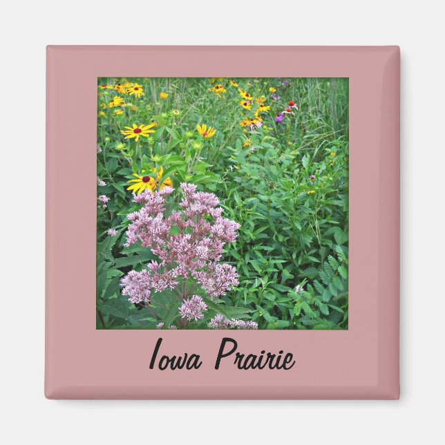 Aimant Iowa Prairie (Devant)