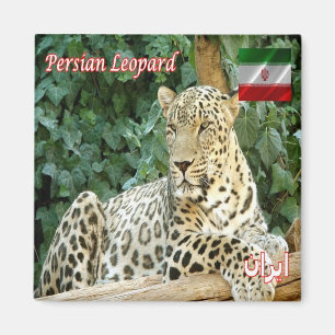 Aimant IR - Iran - Léopard persan