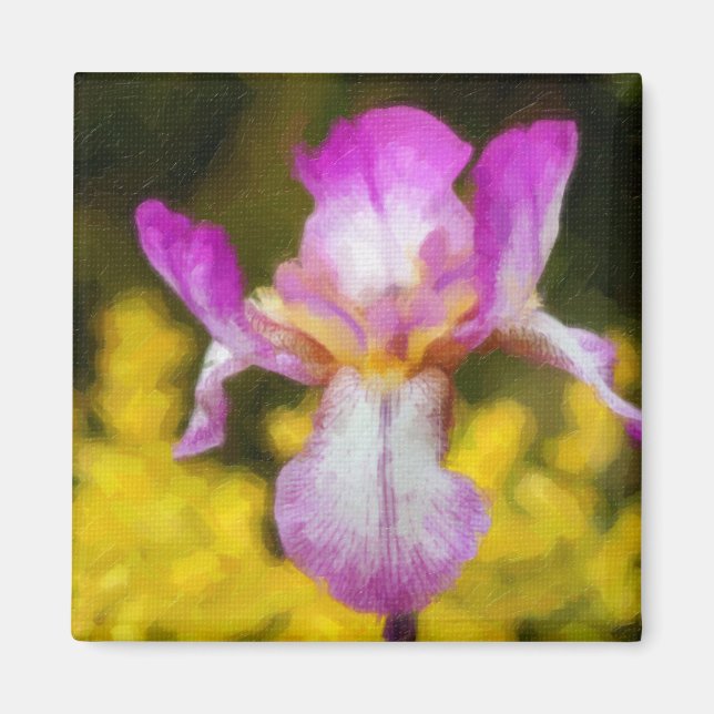 Aimant Iris (Devant)