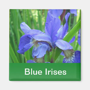 Aimant iris bleus et feuilles vertes