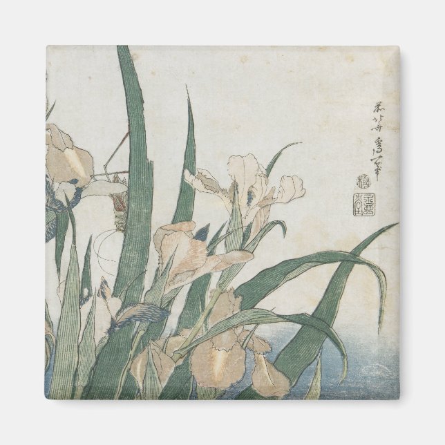 Aimant Iris Flowers and Grasshopper, c.1830-31 (Devant)