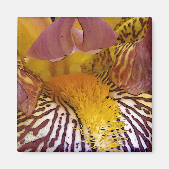 Aimant Iris intimes (Devant)