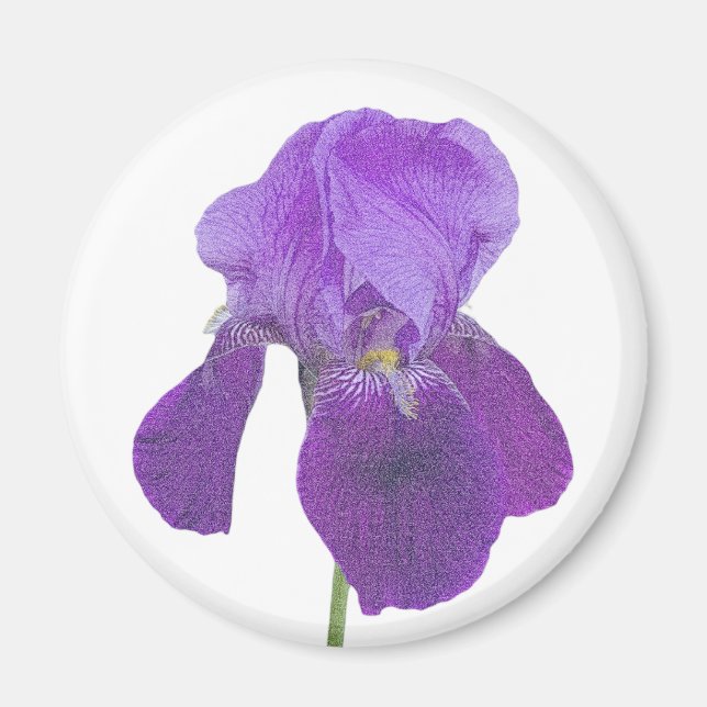 Aimant Iris Violet (Devant)