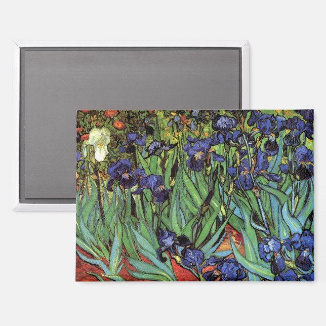Aimant Irises de Vincent van Gogh, Jardin Vintage (Recto/Verso)