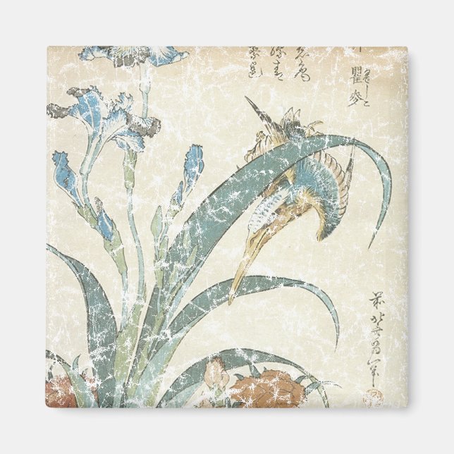 Aimant Irises et Kingfisher (Devant)