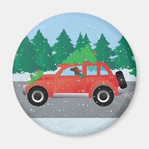 Aimant Irish Setter Conduire une voiture avec un arbre su