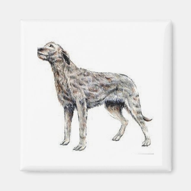 Aimant Irish Wolfhound (Devant)