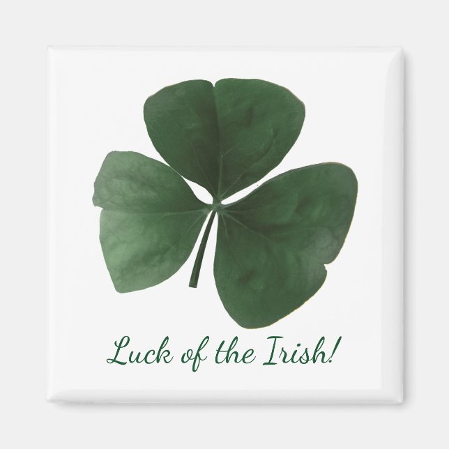Aimant irlandais (Devant)