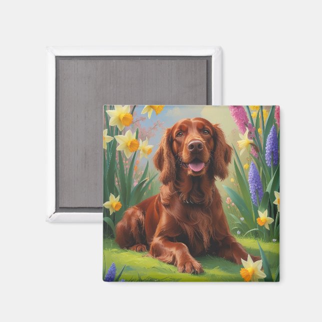Aimant Irlandais Red Setter Chien Fleurs de printemps pei (Recto/Verso)