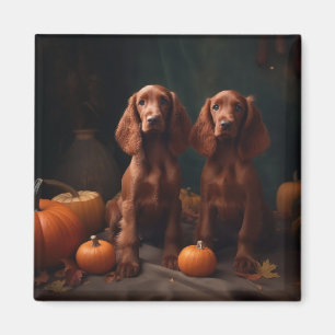 Aimant Irlandais Red Setter Chiot Automne Citrouille de p