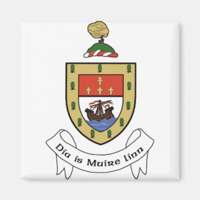 Aimant Irlande Comté de Mayo (Devant)