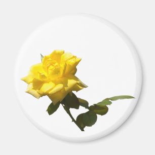 Aimant Isoler Rose jaune
