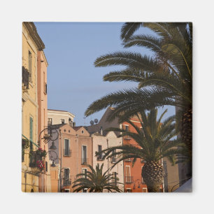 Aimant Italie, Sardaigne, Cagliari. Bâtiments et palmier