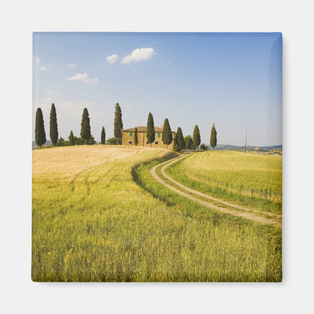 Aimant Italie, Toscane, Villa toscan approchant de la réc (Devant)
