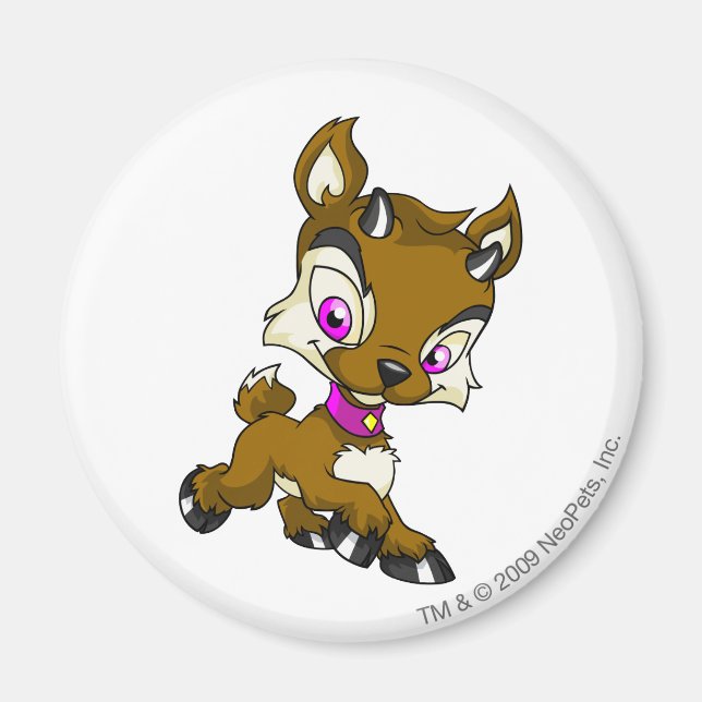 Aimant Ixi Brown (Devant)