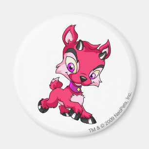 Aimant Ixi rouge