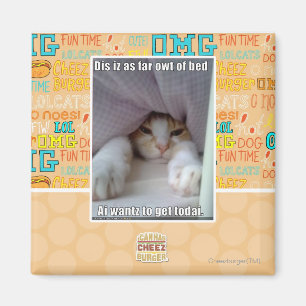 Aimant Iz de DIS en tant que loin owt de lit.