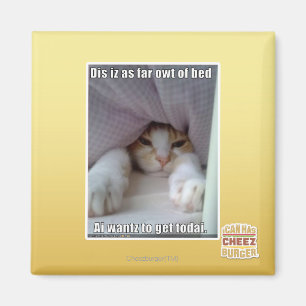 Aimant Iz de DIS en tant que loin owt de lit.